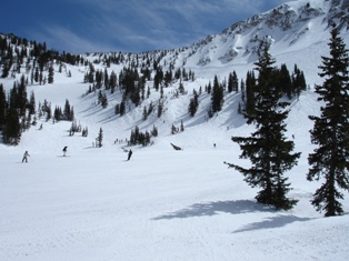 Alta