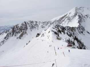 Snowbird