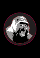 silverbacks logo